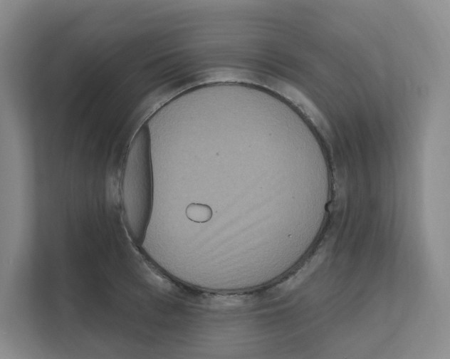 X0000111160993200908111150