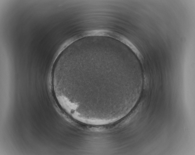 X0000111160994200908111150