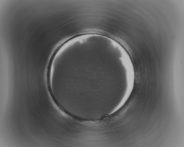 X0000111160995200908111150