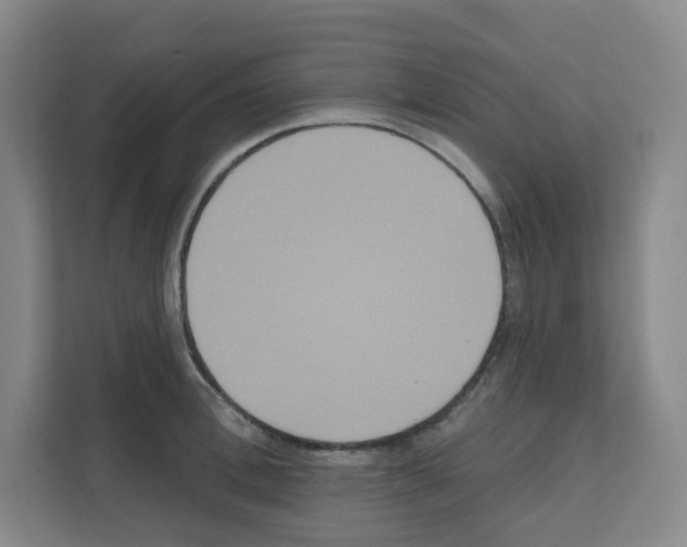 X0000111160996200908111150