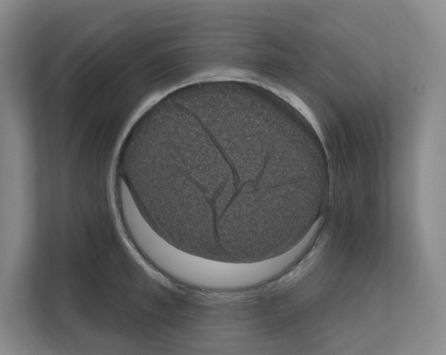 X0000111160997200908111150