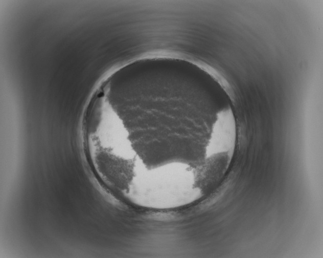 X0000111160998200908111150