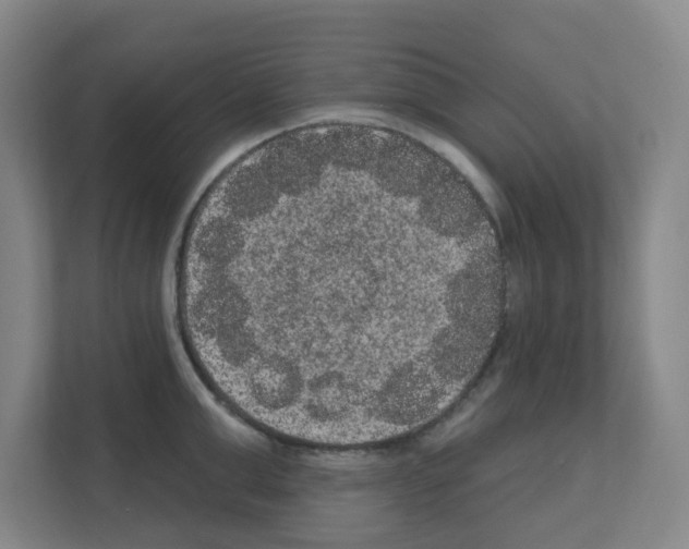 X0000111160999200908111150