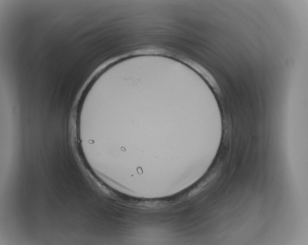 X0000111161000200908111150