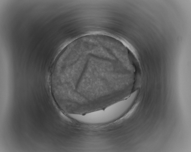 X0000111161001200908111150