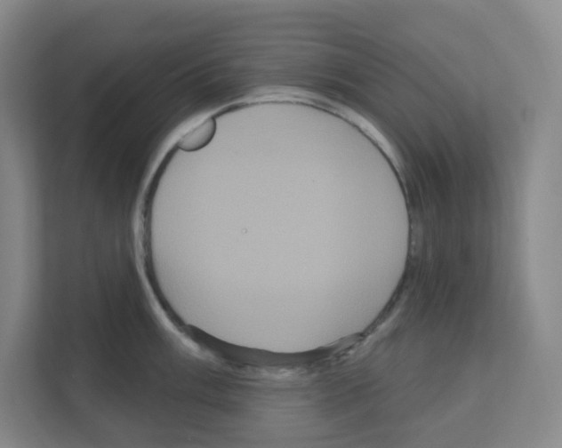 X0000111161003200908111150