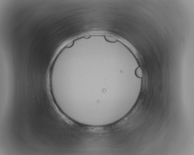 X0000111161006200908111150