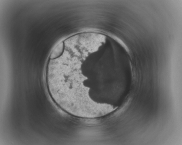 X0000111161007200908111150