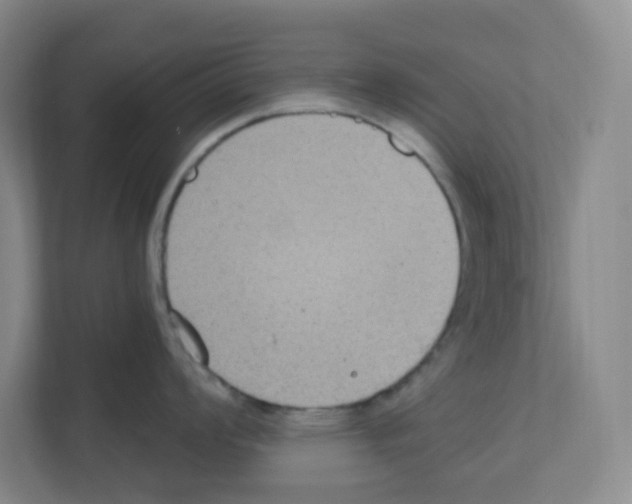 X0000111161008200908111150