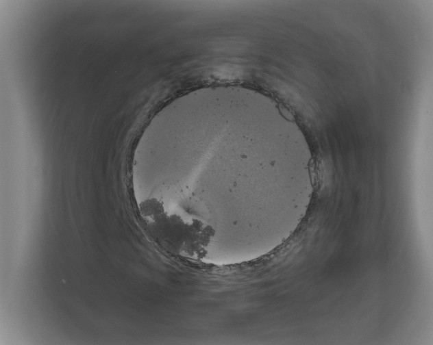 X0000111161009200908111149
