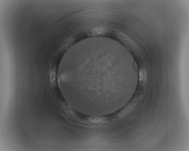 X0000111161011200908111149