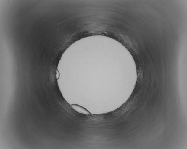 X0000111161012200908111149