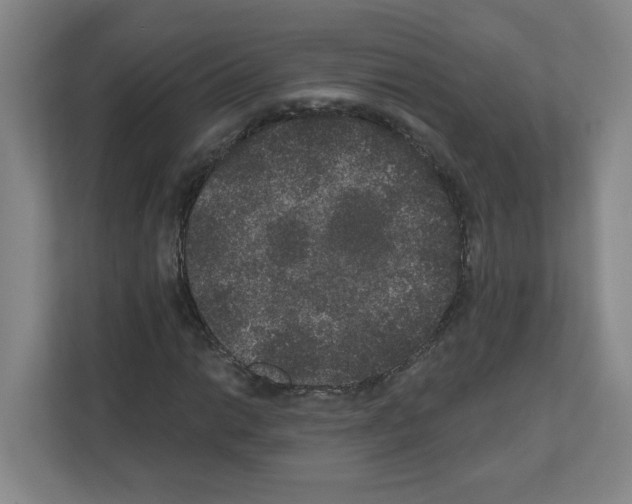 X0000111161014200908111149