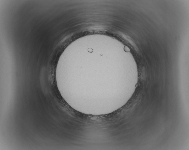 X0000111161015200908111149