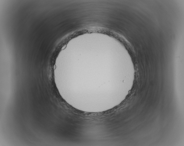 X0000111161016200908111149