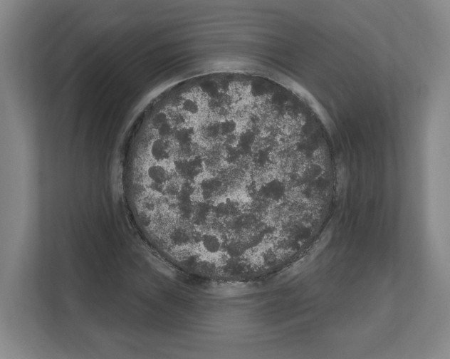 X0000111161019200908111149
