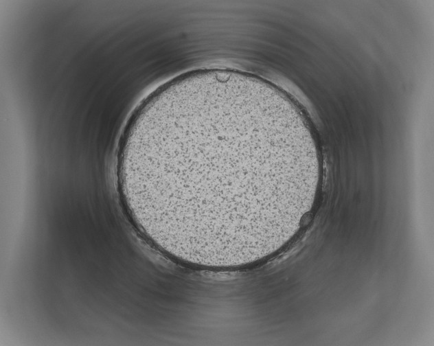 X0000111161020200908111149
