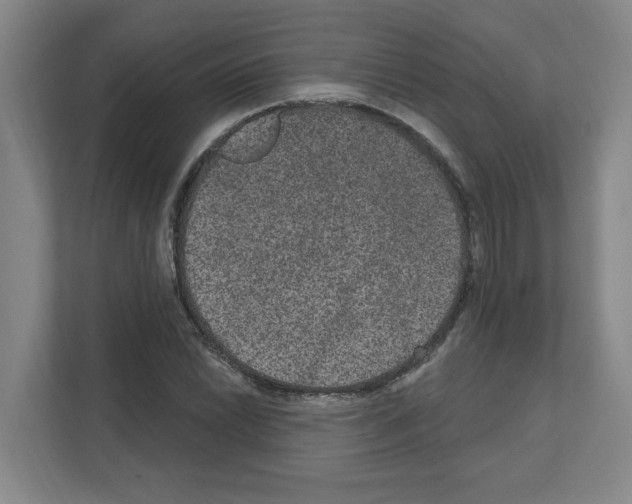 X0000111161022200908111149