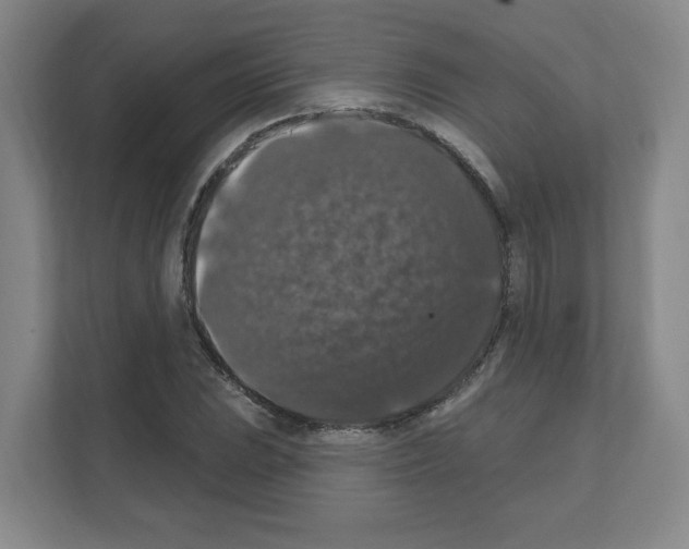 X0000111161023200908111149