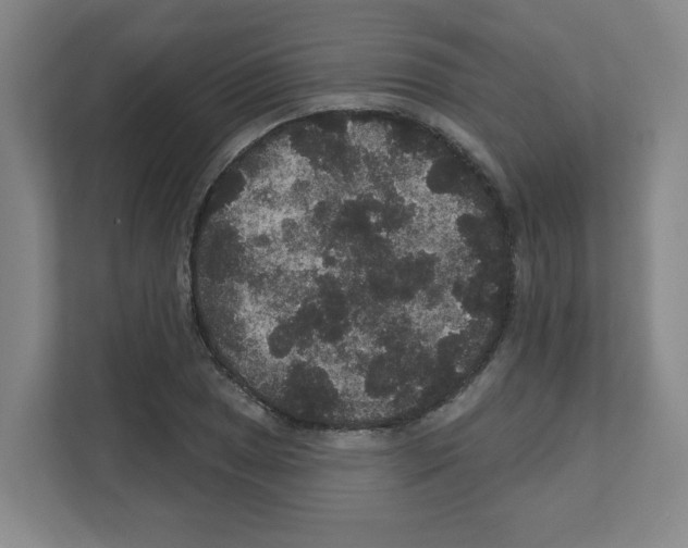 X0000111161025200908111150