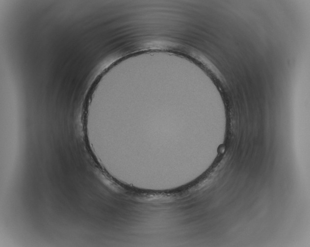 X0000111161026200908111150