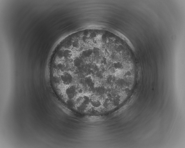 X0000111161027200908111150