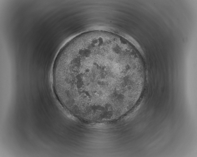 X0000111161028200908111150