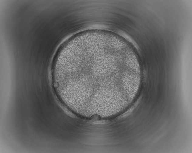 X0000111161029200908111150