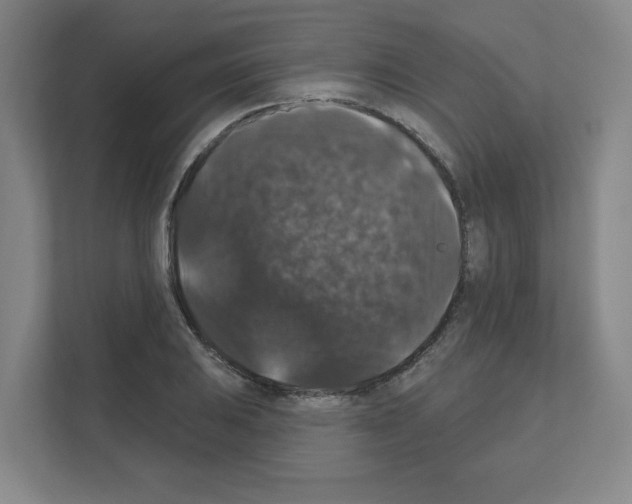 X0000111161031200908111150