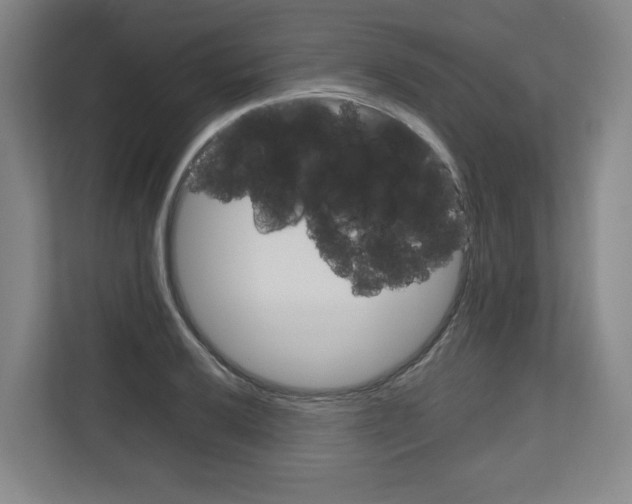 X0000111161032200908111150