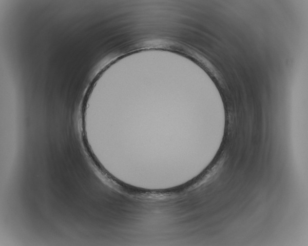X0000111161034200908111150