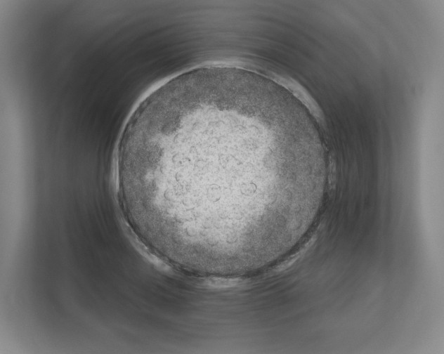 X0000111161036200908111150