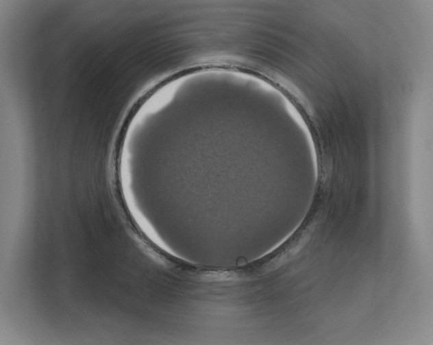 X0000111161037200908111150