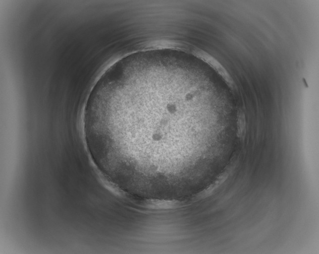 X0000111161039200908111150