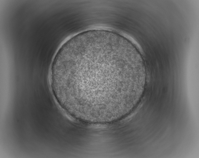 X0000111161040200908111150
