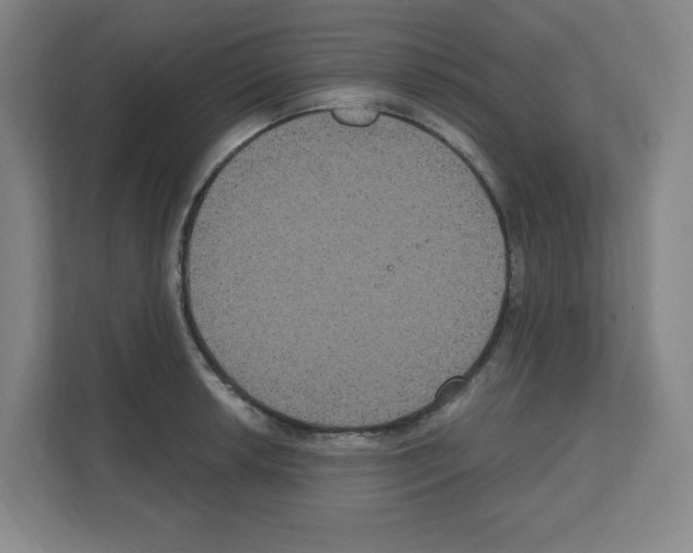 X0000111161042200908111150