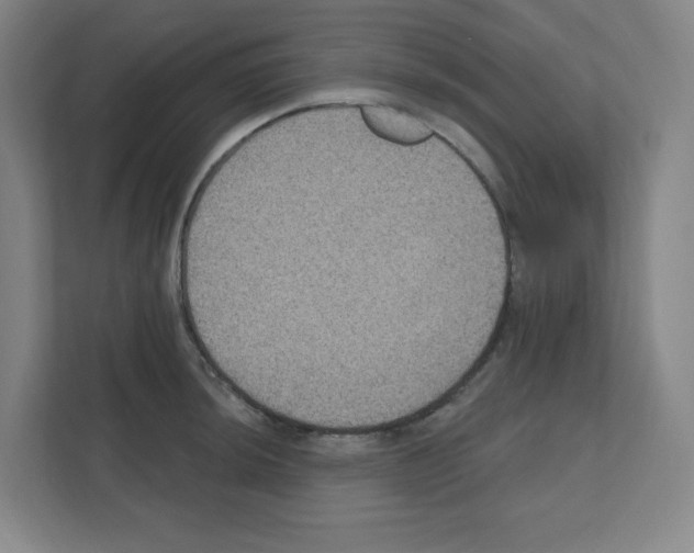 X0000111161044200908111150