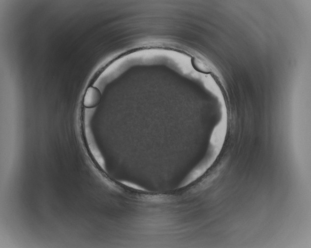 X0000111161045200908111150