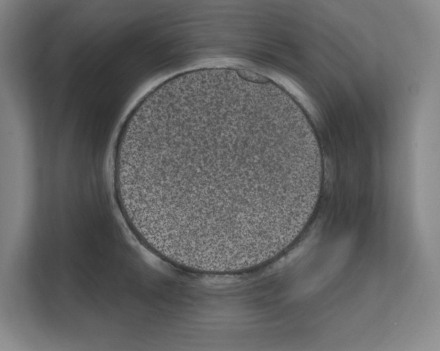 X0000111161046200908111150