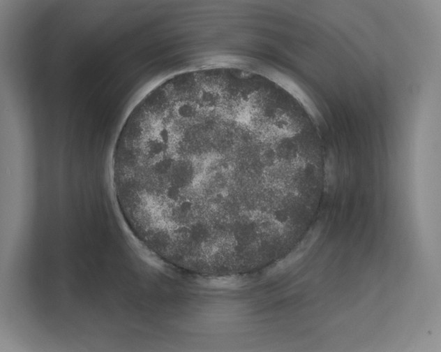 X0000111161047200908111150