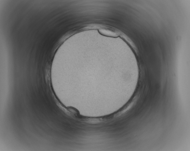 X0000111161049200908111150