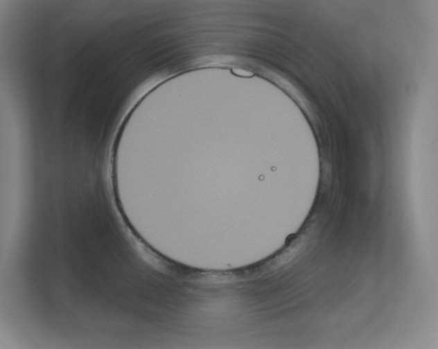X0000111161050200908111150
