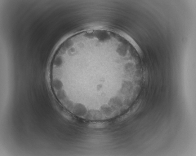 X0000111161051200908111150
