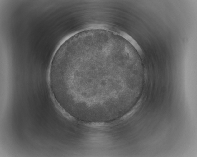 X0000111161052200908111150