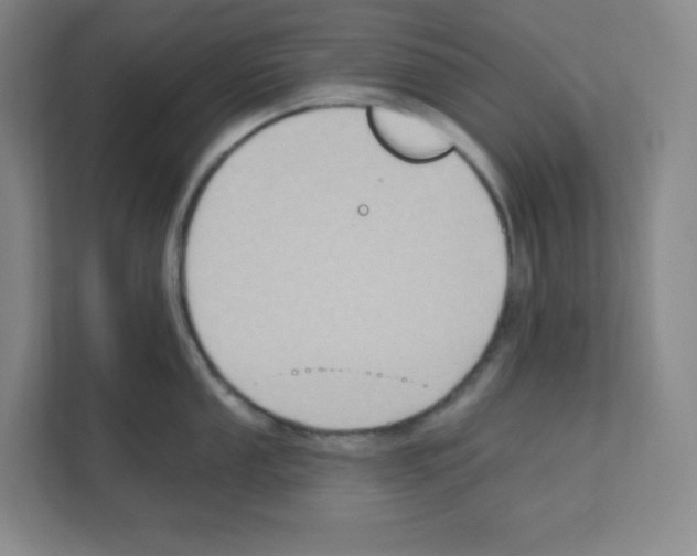 X0000111161053200908111150