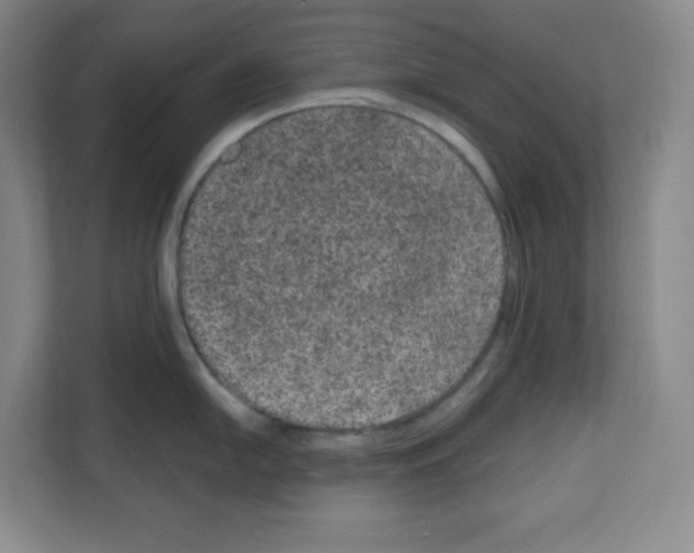 X0000111161054200908111150