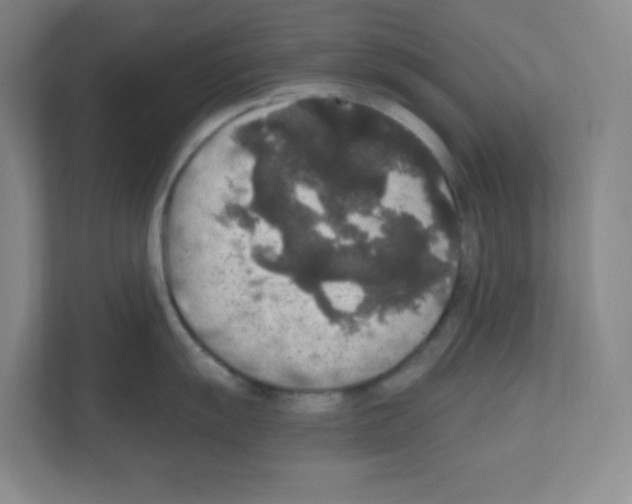 X0000111161055200908111150
