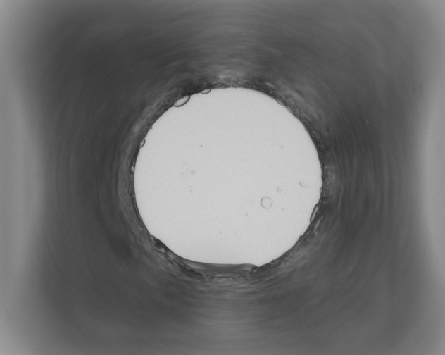 X0000111161057200908111149