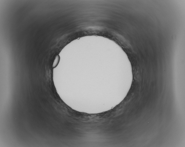 X0000111161061200908111149