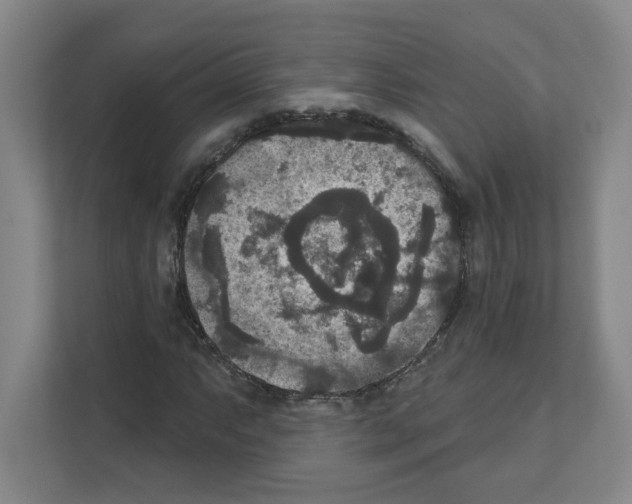 X0000111161063200908111149